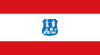 Flag of Asunción