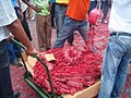 Image 1Pagara (red firecracker ribbons) (from Suriname)