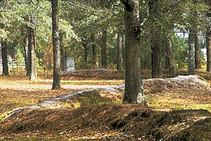 A wooded scene with tall trees and a leafy carpet. Mounded earthworks about 2 feet (0.5 m) high snake through the scene.