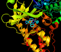Inhibitor acts as ATP mimetic in ATP binding pocket