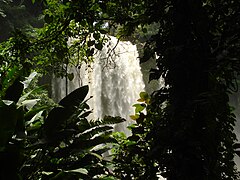 Chiapas: Tieflanddschungel und der Wasserfall Misol-ha