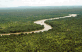 Image 34Rainforest ecosystems are rich in biodiversity. This is the Gambia River in Senegal's Niokolo-Koba National Park. (from Ecosystem)