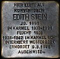 Stolperstein für Edith Stein (Dürener Straße 89)