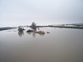 Tundzha River - flooding on Feb 18, 2010