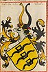 Wappen der Familie Aichheim im Scheiblerschen Wappenbuch