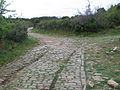 Chariot ruts in the Via Domitia