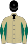 Beige, dark green diabolo on sleeves, black cap