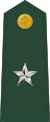Brigadier general