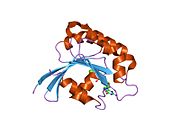 2al7: Structure Of Human ADP-Ribosylation Factor-Like 10C