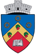 Wappen von Cămărașu