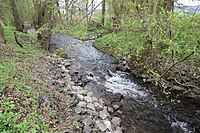 FND „Flusslauf und Uferzone Thyra v. Gipswerke-Mittelmühle“