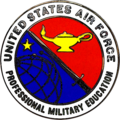 Air Force Professional Military Education Badge