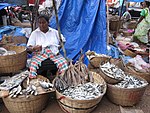 Vendor at Margao Fish Market