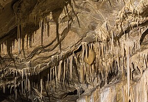Kletno Bear Cave, Kletno