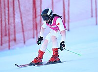 Wang Shengjie at women's giant slalom