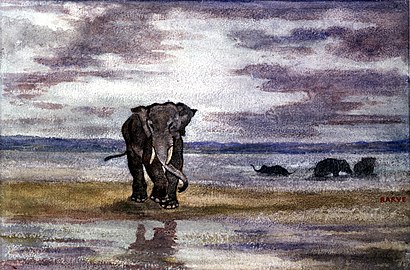 Elephants in Water (Walters Art Museum)