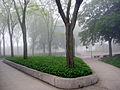 Goshen College's Quadrangle in early morning fog