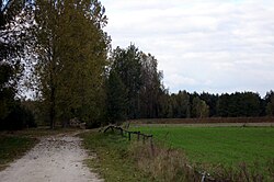 Praczka village, view towards the Czarna Włoszczowska river.