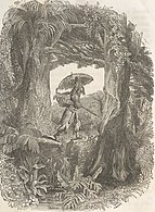 My journey began, Robinson Crusoe (1840)
