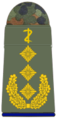 Generaloberstabsarzt (Army Senior Staff General Dentist, field uniform mounting loop)