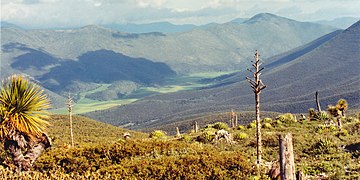 Looking down on the Marcela valley from Sierra Peña Navada, Municipality of Miquihuana, Tamaulipas, Mexico (10 August 2003)