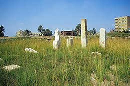 A few columns of white stone in a field with high grasses