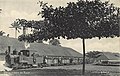 A plantation train in 1910.