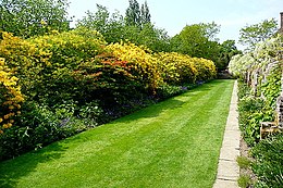 a lawn with flower borders on the left and a brick wall with wisteria on the right