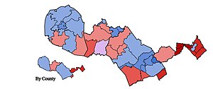 Results by precinct & county