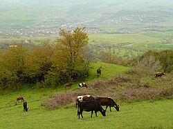 A landscape in Nagorno-Karabakh - a view of the municipality of Karmir Shuka