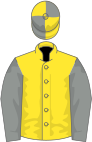 Yellow, grey sleeves, quartered cap