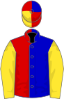 Blue and red (halved), yellow sleeves, red, yellow and blue quartered cap