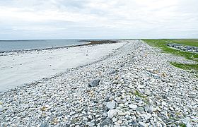 The whole length of the beach here is backed by a berm of stones, some of considerable size, which have presumably been piled up by winter storms.