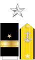 USN Rear Admiral (lh)