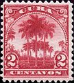 An 1899 stamp depicting the Cuban royal palms.