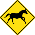 (W5-46) Wild Horses Crossing
