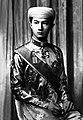 Crown prince Bảo Long.