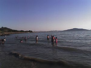 People also swim recreationally, at Kellar Beach in Richmond's Miller/Knox Regional Shoreline.
