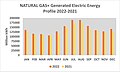 NATURAL GAS+ Generated Electronic Energy 2022-2021