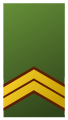 Sergeant-majoor (Royal Netherlands Army)[32]
