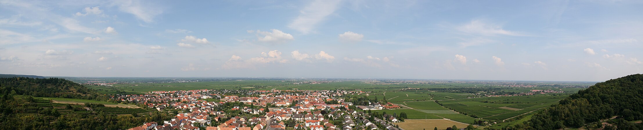 Panorama: Blick vom Aussichtsturm der Wachtenburg