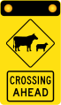 (W5-V131) Stock Crossing Ahead (used in Victoria)