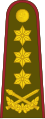 Generolas leitenantas[34] (Lithuanian Land Forces)