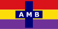 American Medical Bureau (AMB) armband