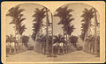 William Bell's stereograph taken on the 1882 transit of Venus expedition.