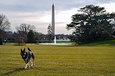 Major on the White House lawn in January 2021