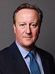 A close-up photograph of David Cameron, with slightly greying dark hair and a dark blue suit, light blue tie and chequered shirt in front of a grey background.