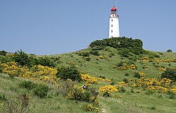 Dornbusch Lighthouse on Hiddensee Island