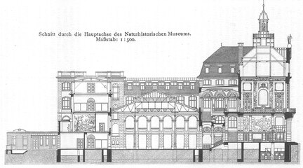 Cross section through the main axis of the Senckenberg Museum, published 1908