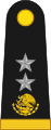 General de brigada (Mexican Army)[5]